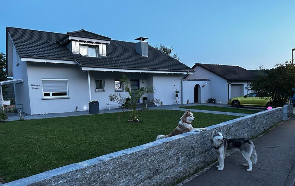 Minalya Home Laufenburg Ngoại thất bức ảnh